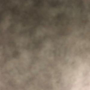 Meet your Posher, Ashlyn